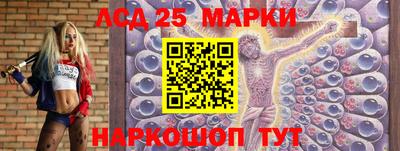 молекула духа Будённовск