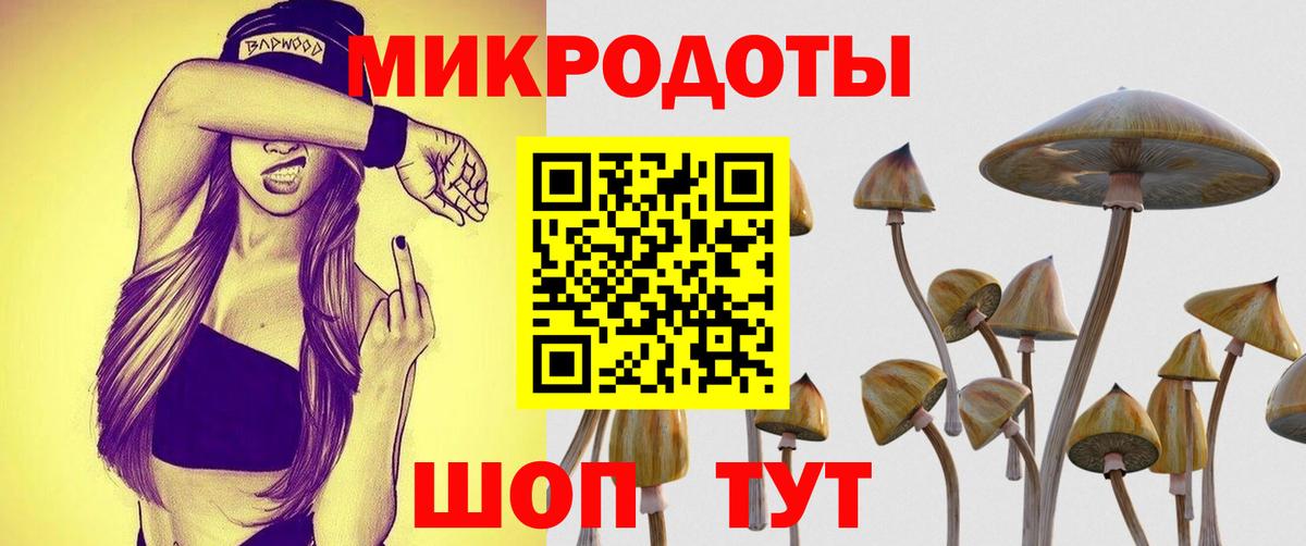 Галлюциногенные грибы прущие грибы  купить наркотик  Серов  Вход с VPN  Галлюциногенные грибы GOLDEN TEACHER 